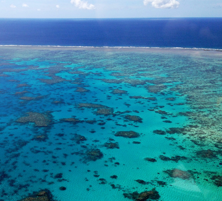 From Cairns: 40-Min Scenic Reef Window Seat Airplane Flight