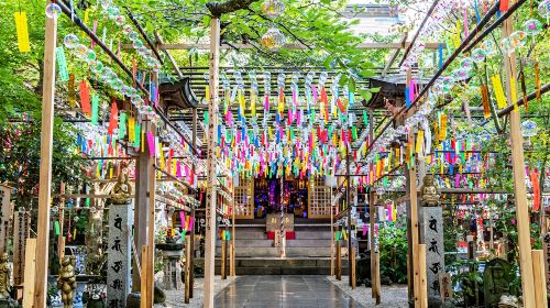Japan Fukuoka Nyoirin-ji Temple on Qingying Mountain, Mount Yufu Trailhead, Yufuin, and Beppu Hells One-Day Tour