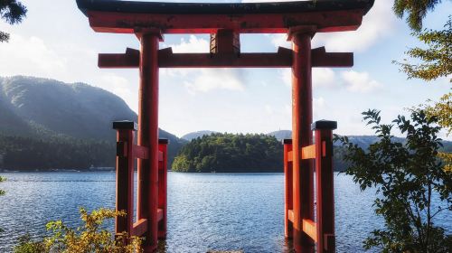 Private Charter Hakone Area for 10 Hours Day Tours
