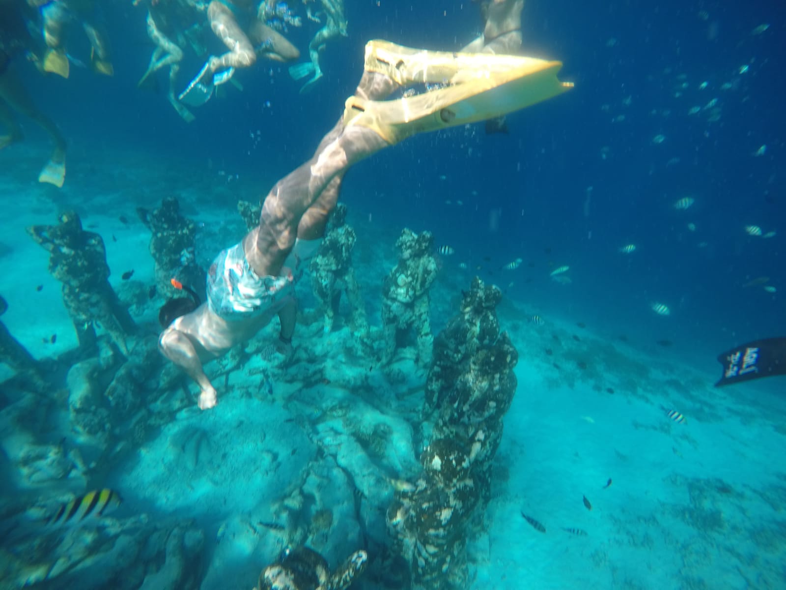 Snorkling tour in gili air island Lombok