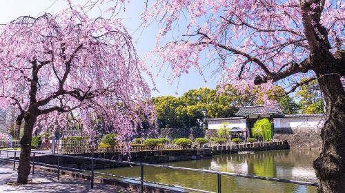 Tokyo Imperial Palace East Gardens Private Guided Tour