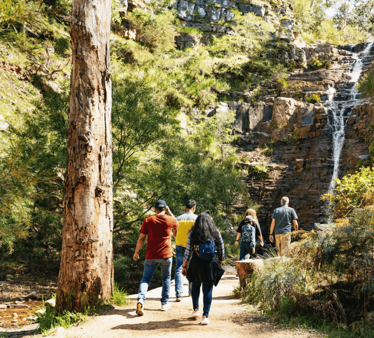 Grampians National Park Small-Group Eco Day Tour