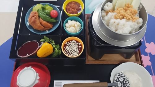 Mt. Fuji and Shizuoka Wasabi Farm Tour with Hokusai Special Train and Bullet Train from Tokyo Day Tours