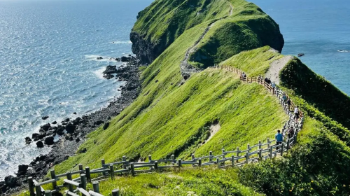 1-day tour to Cape Kamui in Hokkaido, Japan with optional pickup · Picking at Otaru Island's Takei Coast Distillery