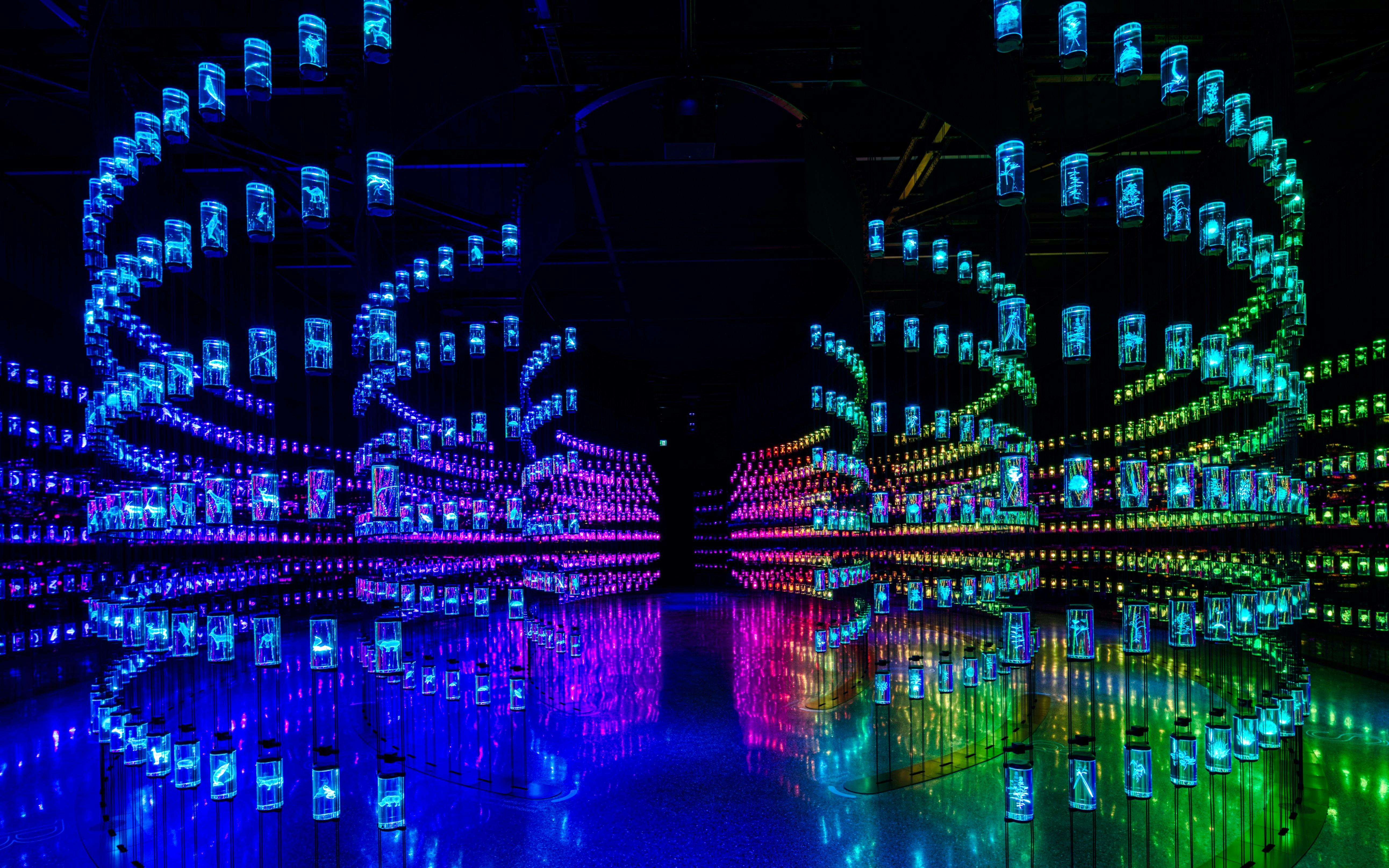 [Kids Go Free] Museum of The Future Dubai Tickets