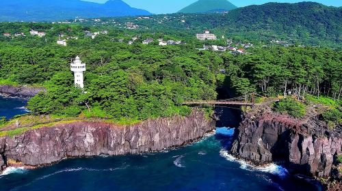 1-Day Small Group Tour to Mt. Omuro, Izu with Scenic Train Ride & Hotel Pick-up