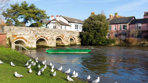 Punting On The Avon (Antigua Boat Sheds)