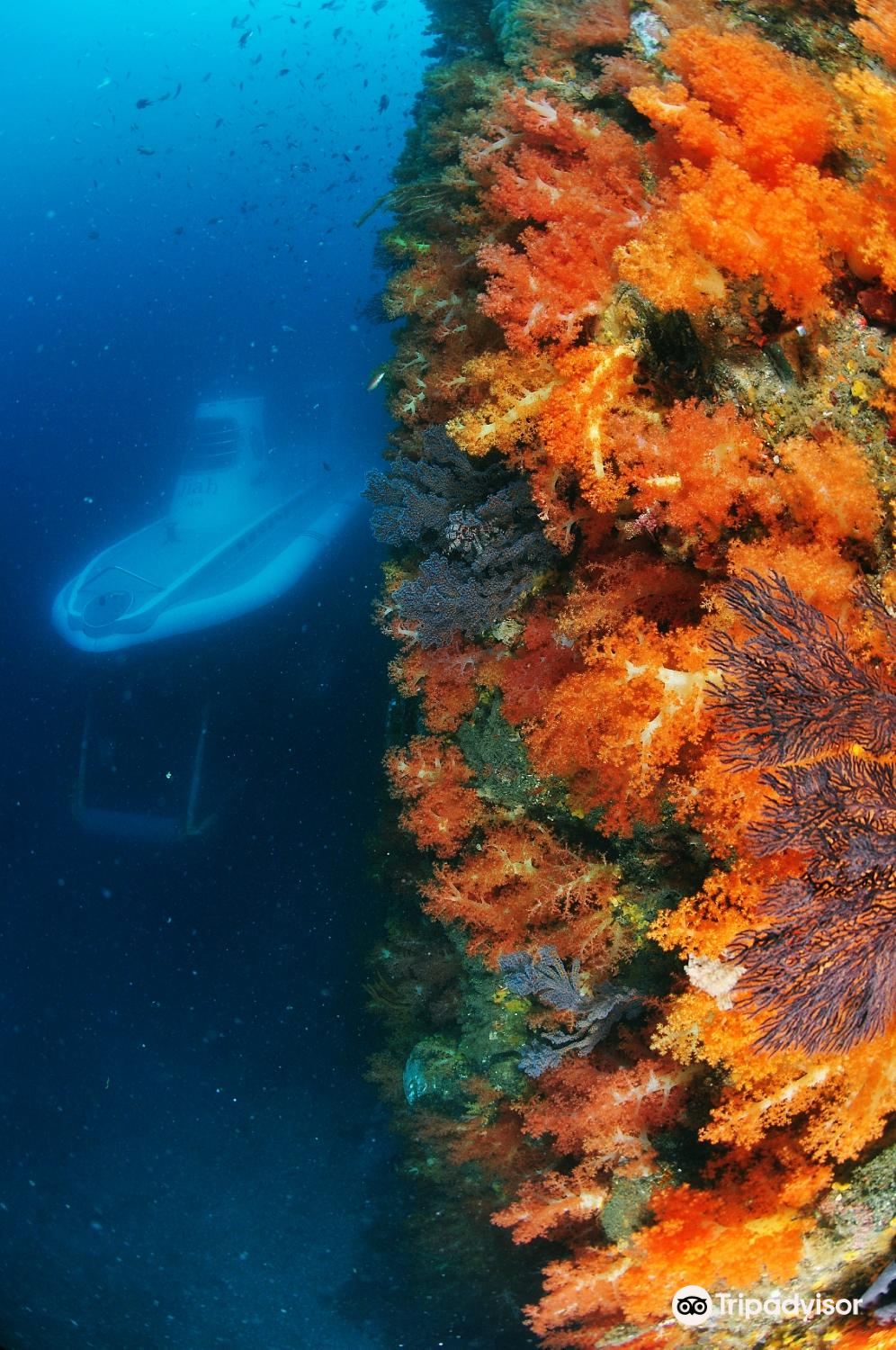 Seogwipo Submarine