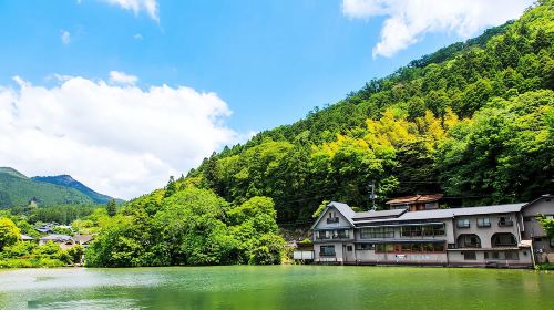 1-day tour to Kyushu Wildlife Park African Safari – Beppu Umi Jigoku