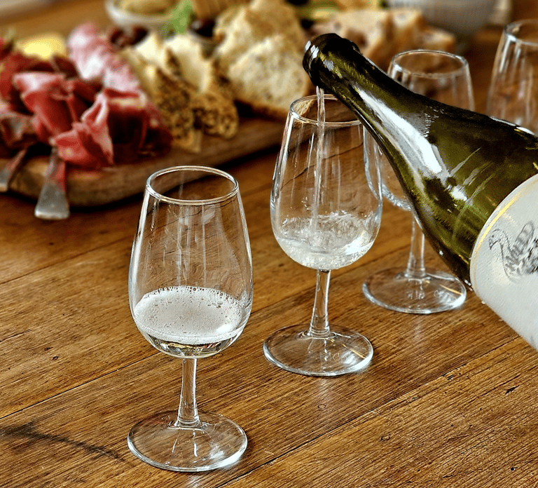 Melbourne: Boutique Phillip Island Wine, Dine & Penguin Tour