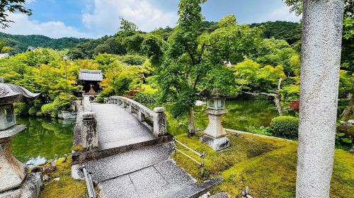 The Must-Do Kyoto Walk: Secret Zen, Scenic Wonders & Temples Day Tours