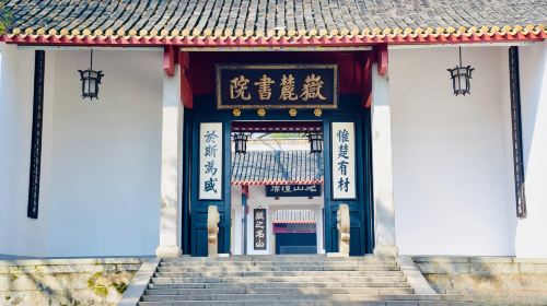 Hunan Museum + Orange Isle + Yuelu Academy + Autumn-Admiring Pavilion Changsha Pure Play Small Group 1-day Tour