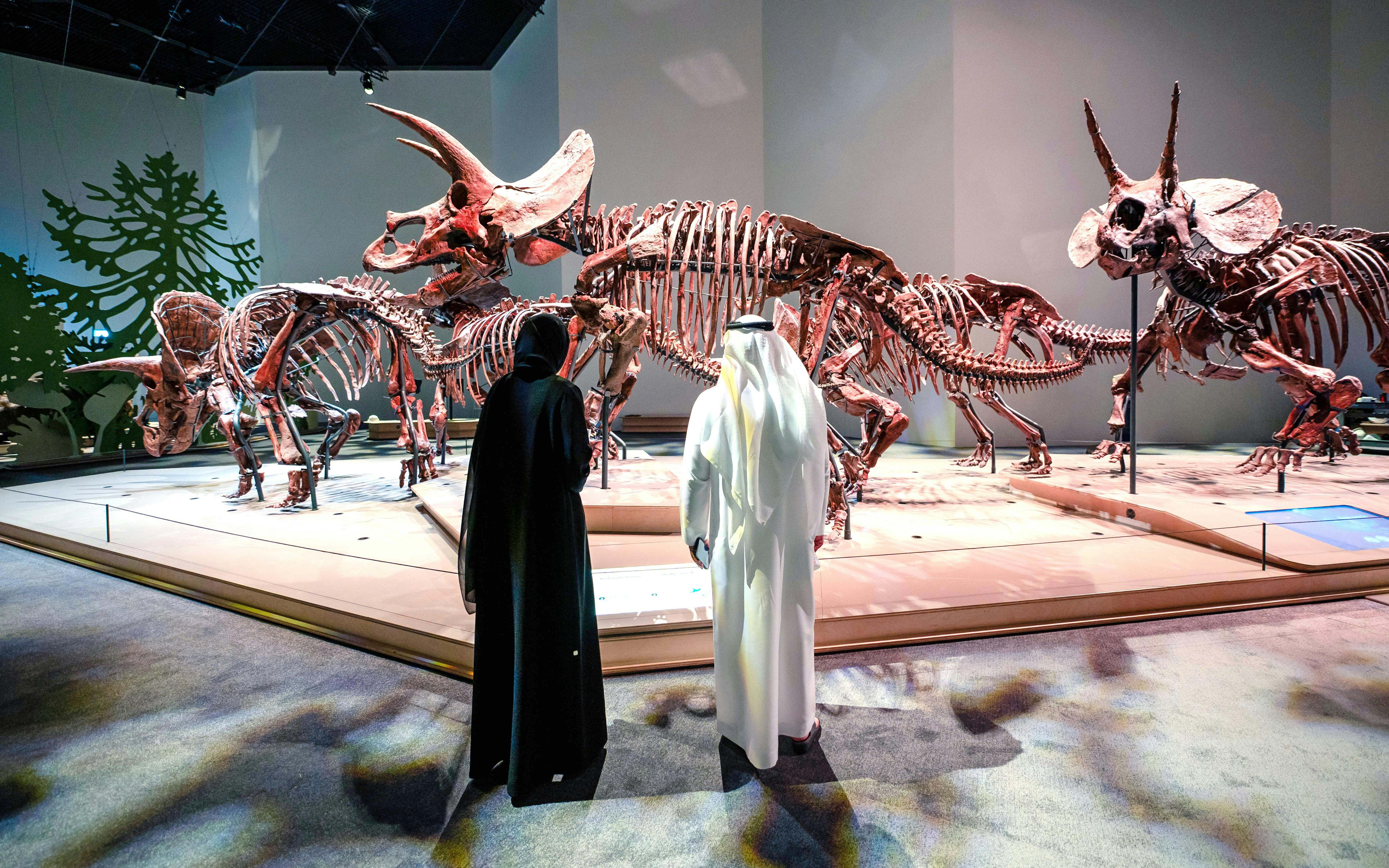 Natural History Museum Abu Dhabi Tickets