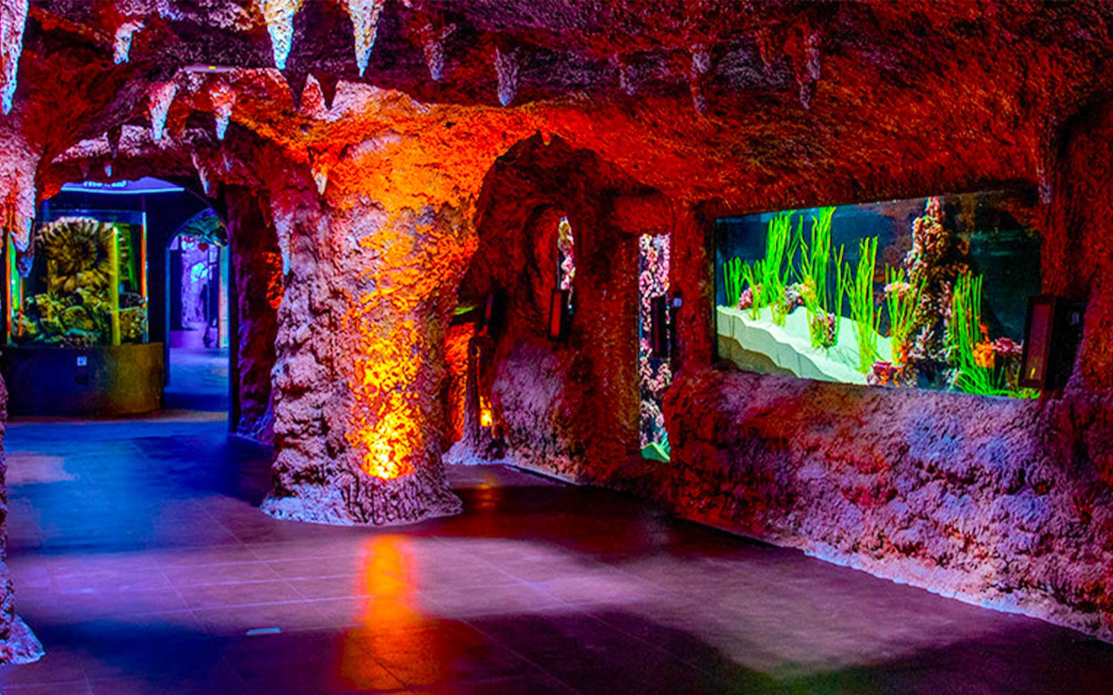 National Aquarium Abu Dhabi Entry Ticket + Beyond The Glass Experience
