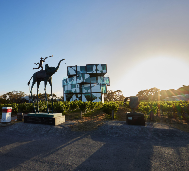 McLaren Vale North: Hop-On Hop-Off Tour
