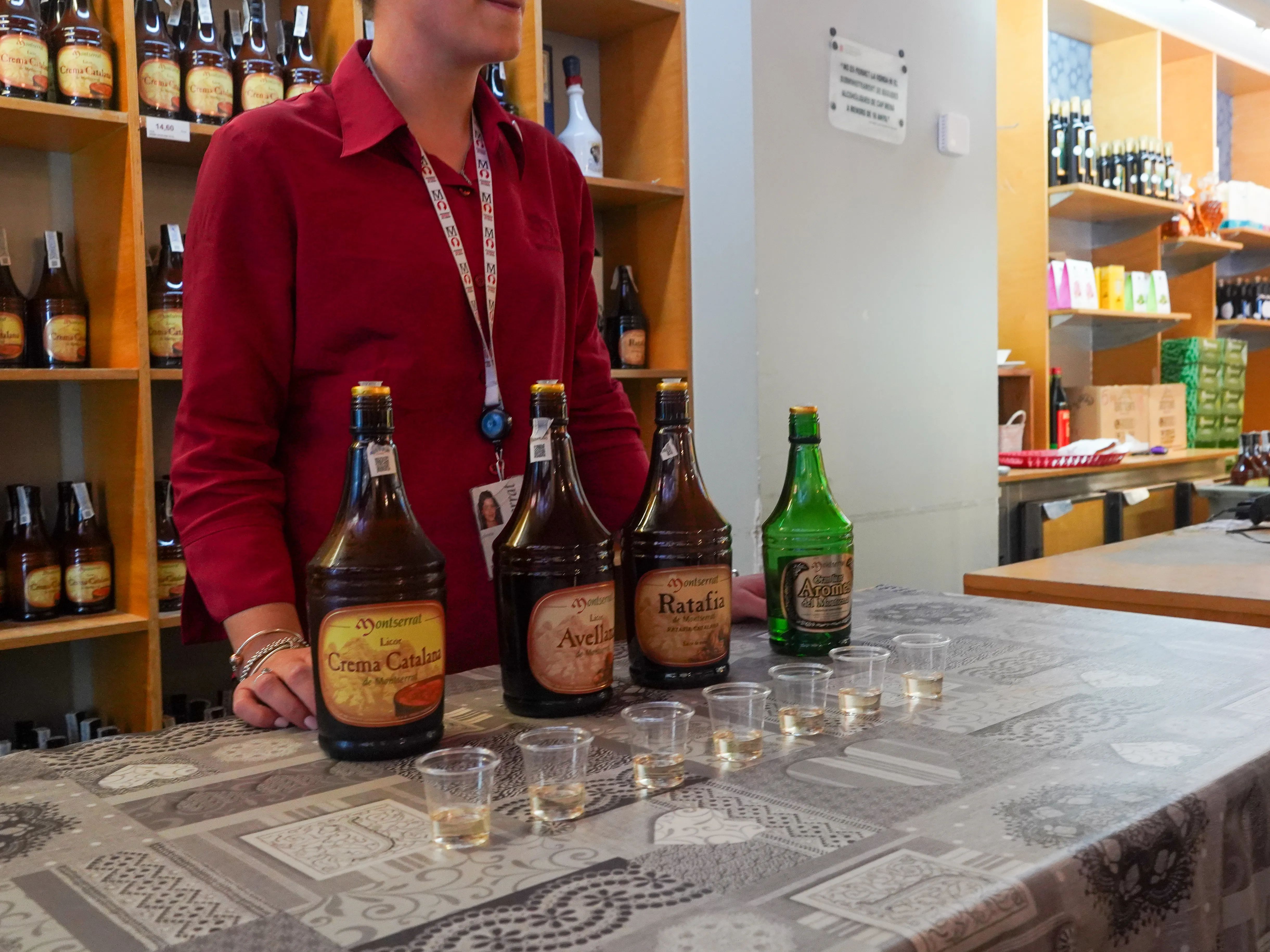 Private Excursion to Montserrat with Cog-Wheel Train