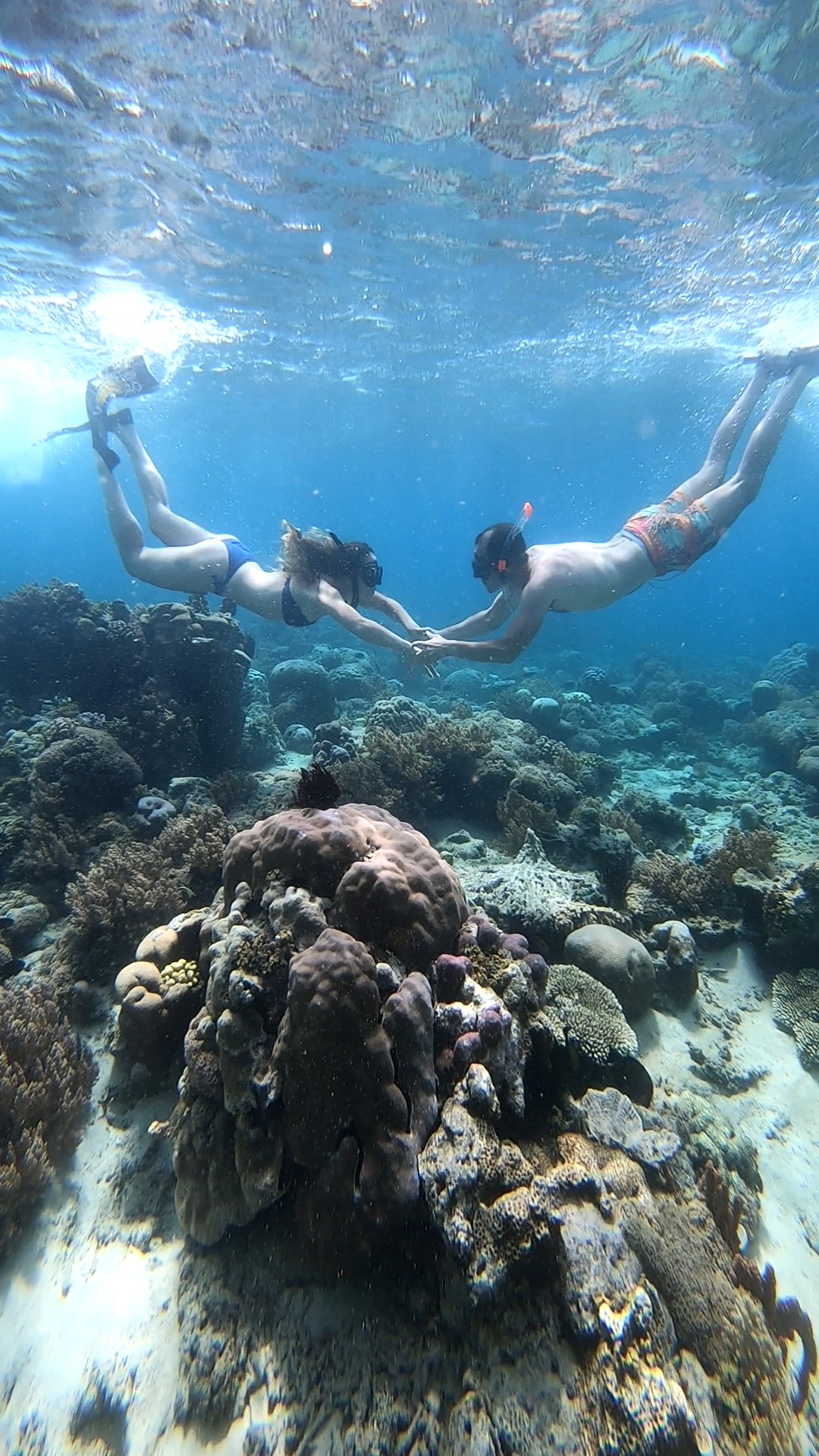 Secrate Island Private Snorkling Tour in lombok with go pro