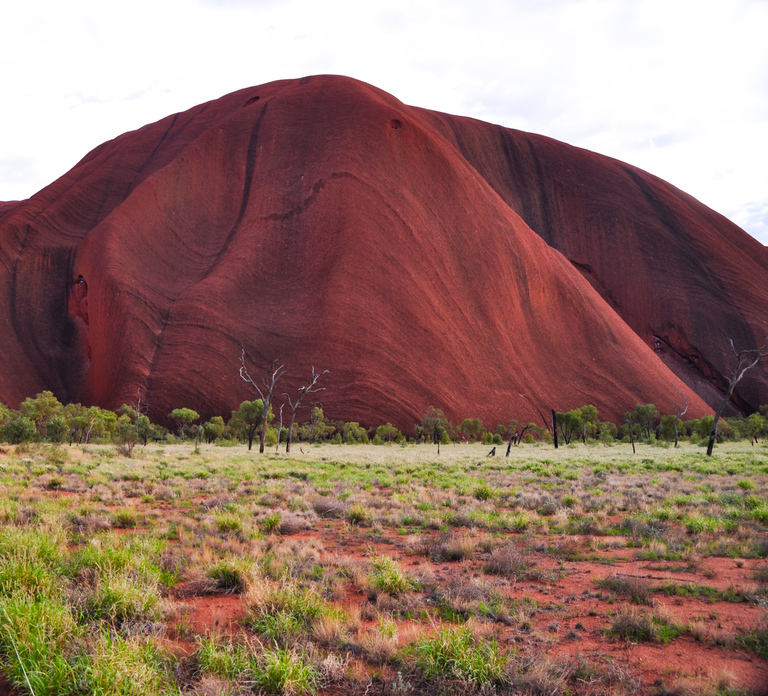 Uluru: Sacred Sites & Sunset Tour with Wine & Cheeseboard