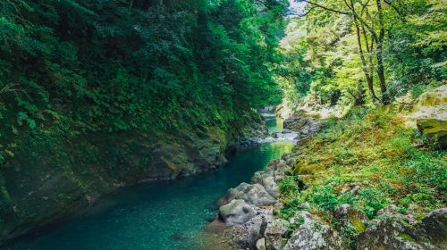 Kyushu Nature Escape Day Tour: Takachiho Gorge, Amano-Iwato & More Day Tours