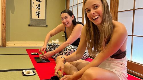 Tea Ceremony Experience in Osaka Doutonbori Day Tours