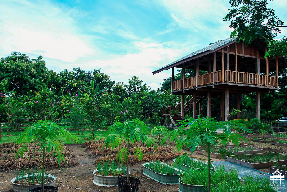 The Rice Barn Thai Cooking Farm Chiang Mai