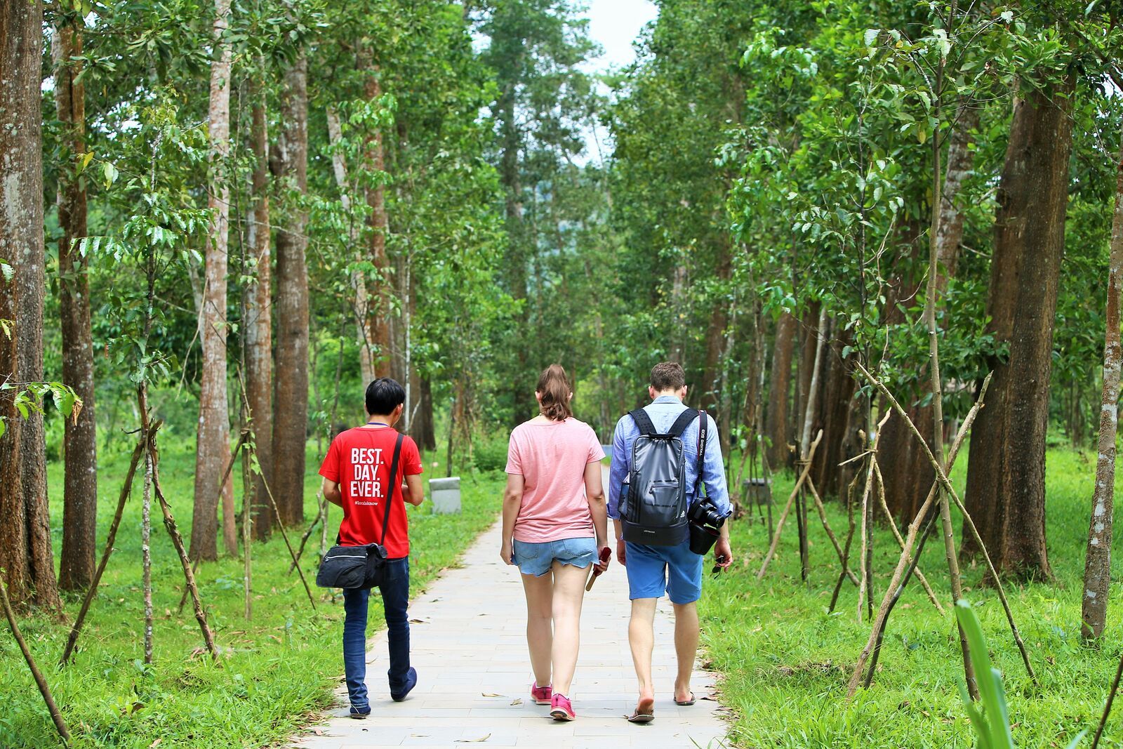 Private Hoi An: My Son Discovery