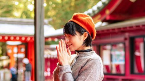 Hakone, Fuji-Hakone & Hakone-Kamakura: Transport Pass Transfer Services