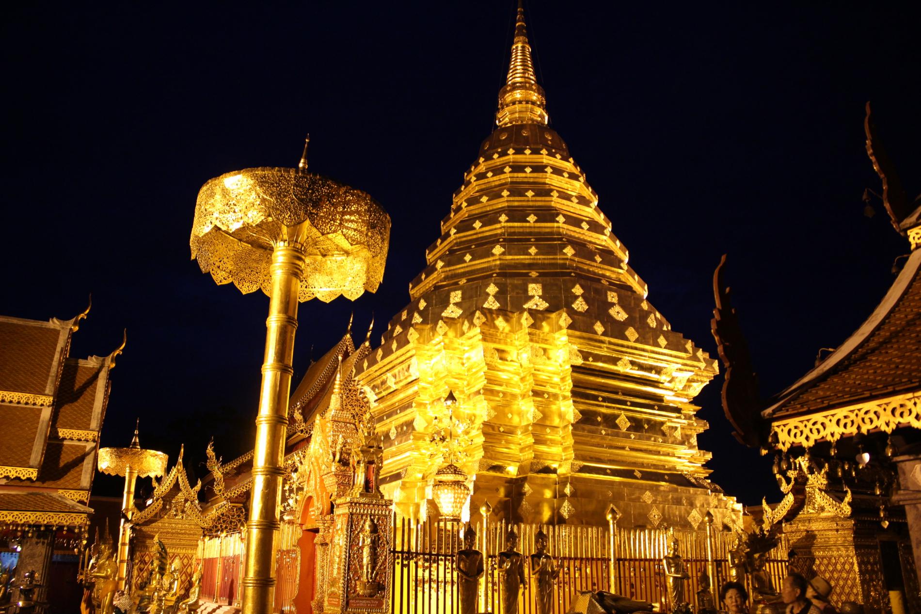 Day Tour Doi Suthep and Wat Umong Night Tour Plus, visit Wat Pa Lad