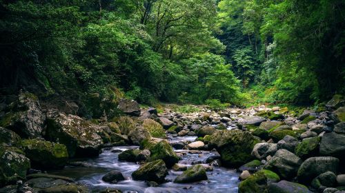 Kyushu Miyazaki Kamishikimi Kumanoimasu Shrine + Takachiho Gorge with boat ride experience + Amanoiwato Shrine