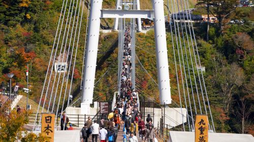 [Guaranteed Departure] Kyushu Autumn Special: Aonodomon Yabakei Gorge, Hitome Hakkei, Kokonoe Yume Bridge & Usa Shrine Day Tour from Fukuoka Day Tours