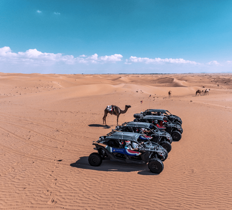 Dubai Dune Buggy Thrill Ride : Off-Road Passenger Experience