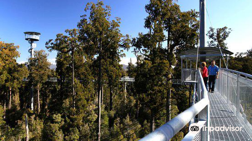 Westcoast Treetop Walk & Tower Zipline