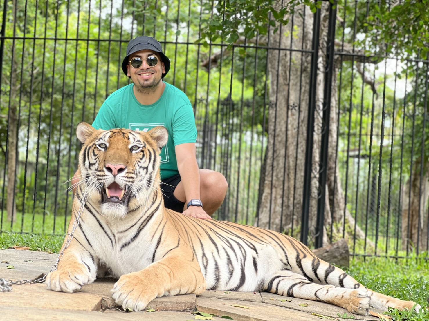 Chang Puak Camp Damnoen Saduak (Tiger & Liger Photo Experience)