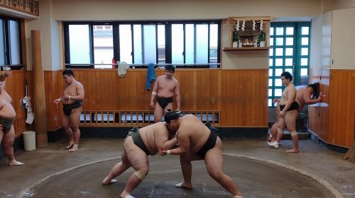 Tokyo Sumo Practice Watching & Visit Town from Samurai era Day Tours