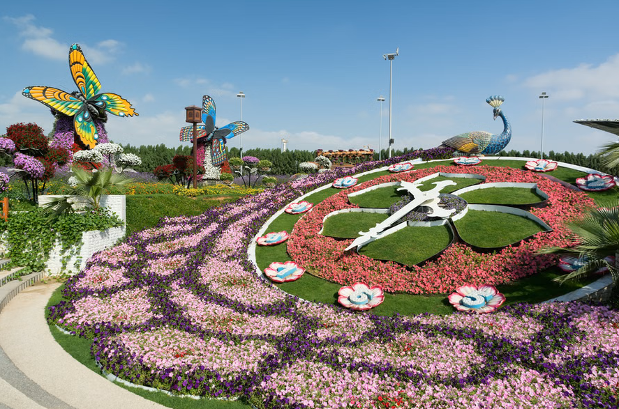 Butterfly Garden Dubai