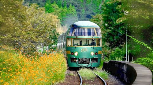 1-day tour to Beppu hells, African safari and Yufuin with Yufuin no Mori train experience