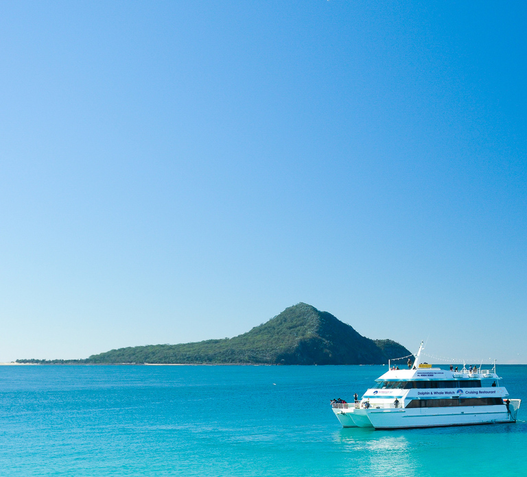 Port Stephens: Dolphin Watching Cruise