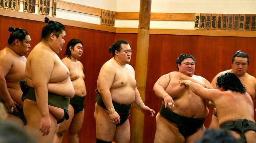 Tokyo Sumo Morning Practice: Viewing & Exclusive Interaction Day Tours