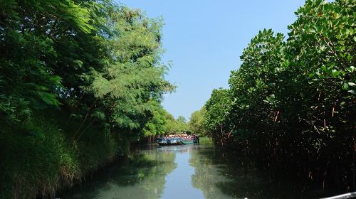 Sicao Green Tunnel
