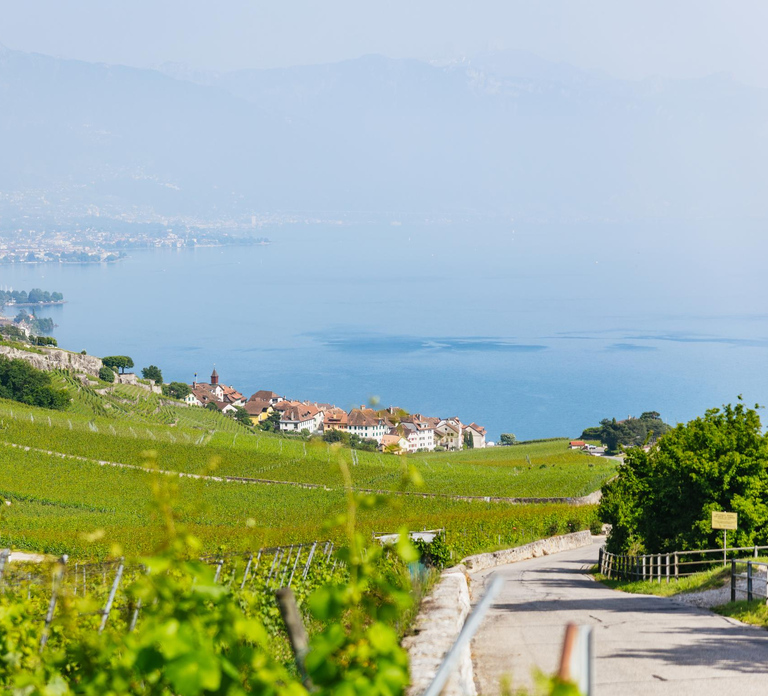 Geneva: Glacier 3000 Experience and Montreux