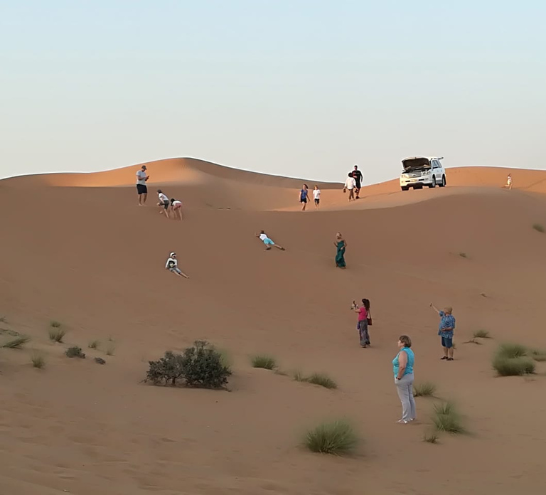 Morning Desert Safari in Ras Al Khaimah
