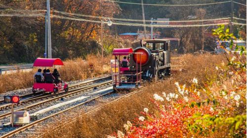 Gyeonggi Province|1-day tour to Gangchon Rail Park + Alpaca World Day Tours