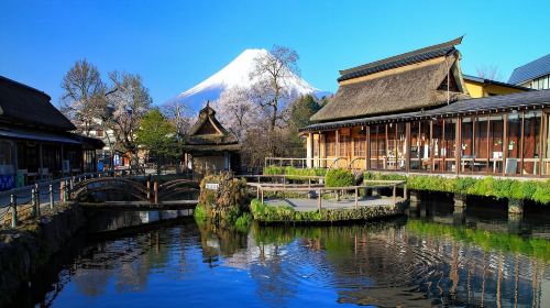 Explore Mount Fuji Area with Customizable Itinerary - Full-Day Private Tour