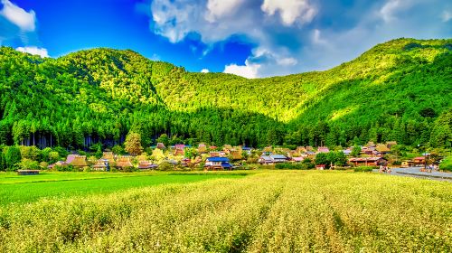 Explore Kyoto's Amanohashidate + Ine Fishing Village + Kayabuki No Sato Day Tour [Three Hidden Scenic Spots] Day Tours