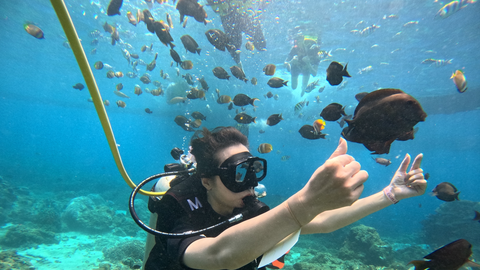 Diving & Snorkeling Packages