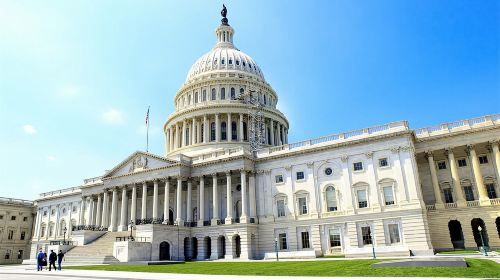 Washington DC "See the City" Guided Sightseeing Segway Tour Day Tours
