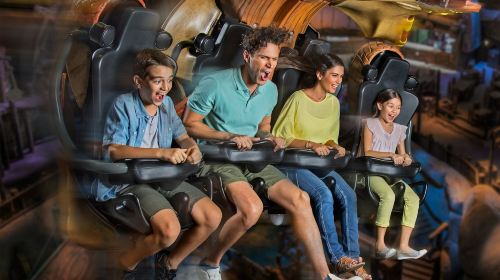 Motiongate Dubai: 1-Day Pass + Private Transfer Transfer Services