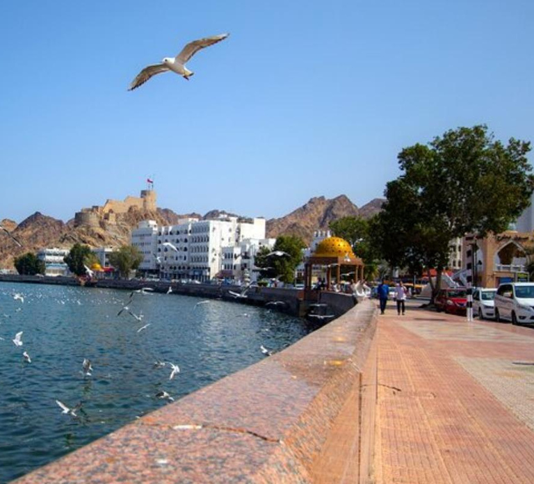 Muscat: Birdwatching Tour with Mosque Visit
