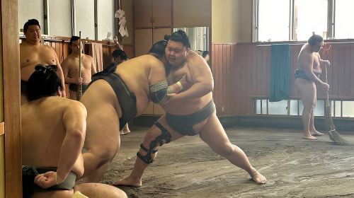 Tokyo: Visit Sumo Morning Practice with English Guide Day Tours
