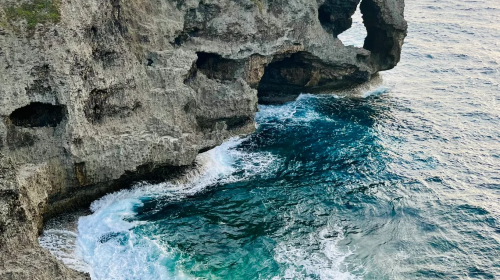 1-Day Tour in Northern Okinawa with Cape Manzamo, Aquarium and Kouri Island